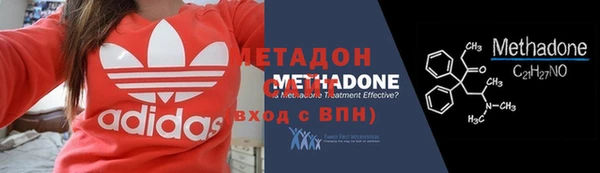 прущие грибы Няндома