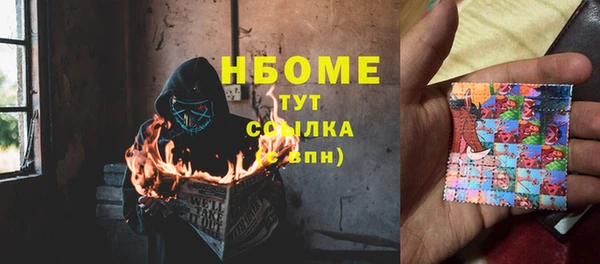 прущие грибы Няндома